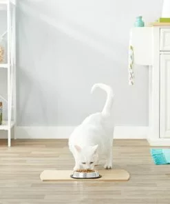 Frisco Non-Skid Stainless Steel Bowl -Dog Cat Corner 159860 PT4. SY630 V1570543031