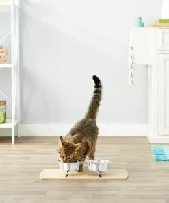 Frisco Non-Skid Elevated Dog & Cat Diner -Dog Cat Corner 159881 PT4. SY630 V1561123082