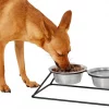 Frisco Pyramid Elevated Dog & Cat Diner -Dog Cat Corner 159883 MAIN. SY630 V1583424780
