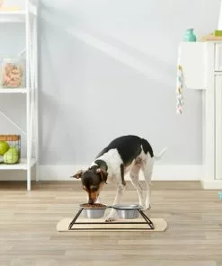 Frisco Pyramid Elevated Dog & Cat Diner -Dog Cat Corner 159883 PT3. SY630 V1561123335