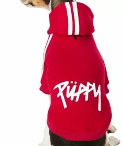 Frisco Püppy Dog & Cat Athletic Hoodie 11 Frisco Püppy Dog & Cat Athletic Hoodie -Dog Cat Corner 160339 PT2. SY630 V1637651502