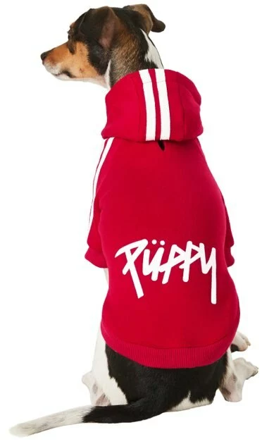 Frisco Püppy Dog & Cat Athletic Hoodie 5 Frisco Püppy Dog & Cat Athletic Hoodie - Image 3