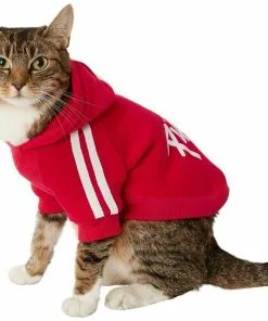 Frisco Püppy Dog & Cat Athletic Hoodie 12 Frisco Püppy Dog & Cat Athletic Hoodie -Dog Cat Corner 160339 PT3. SY630 V1637717232