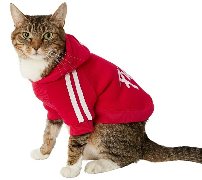 Frisco Püppy Dog & Cat Athletic Hoodie 6 Frisco Püppy Dog & Cat Athletic Hoodie - Image 4