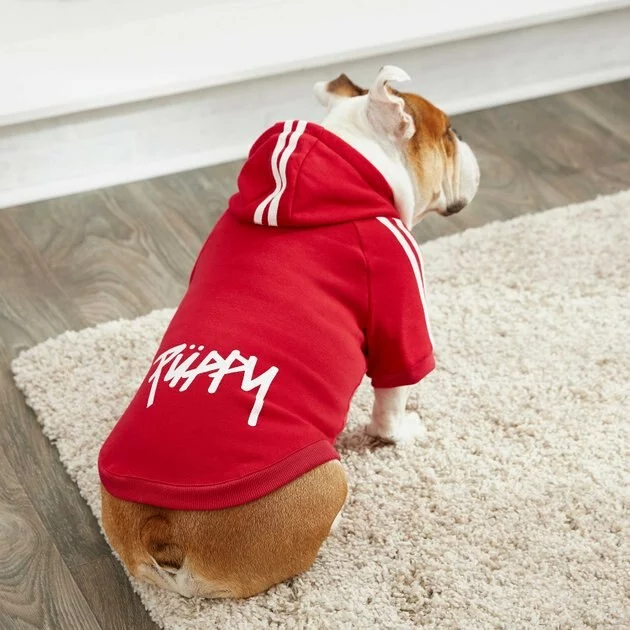 Frisco Püppy Dog & Cat Athletic Hoodie 9 Frisco Püppy Dog & Cat Athletic Hoodie - Image 7