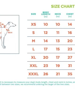 Frisco Püppy Dog & Cat Athletic Tracksuit -Dog Cat Corner 160361 PT1. SY630 V1599016568