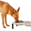 Frisco Wooden Elevated Dog & Cat Diner