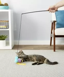 Frisco Bird Teaser with Feathers Cat Toy -Dog Cat Corner 161199 PT2. SY630 V1568910139