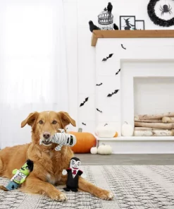 Frisco Halloween Living Dead Monsters Plush Squeaky Dog Toy, 3 count 12 Frisco Halloween Living Dead Monsters Plush Squeaky Dog Toy, 3 count -Dog Cat Corner 161345 PT4. SY630 V1563230352