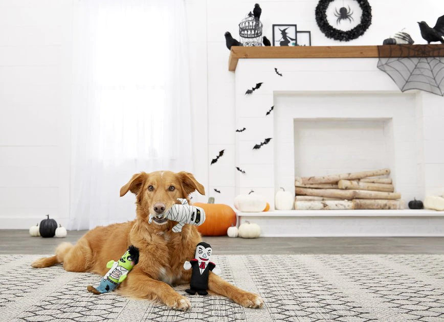 Frisco Halloween Living Dead Monsters Plush Squeaky Dog Toy, 3 count 7 Frisco Halloween Living Dead Monsters Plush Squeaky Dog Toy, 3 count - Image 5