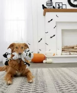 Frisco Mummy Plush with Rope Squeaky Dog Toy -Dog Cat Corner 161354 PT2. SY630 V1563230312