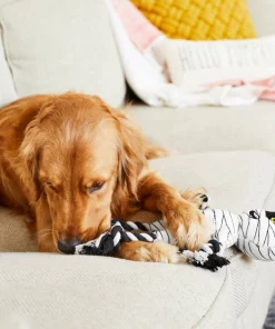 Frisco Mummy Plush with Rope Squeaky Dog Toy -Dog Cat Corner 161354 PT6. SY630 V1597599395