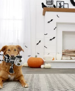Frisco Halloween Skeleton Plush with Rope Squeaky Dog Toy 9 Frisco Halloween Skeleton Plush with Rope Squeaky Dog Toy -Dog Cat Corner 161358 PT2. SY630 V1563230245