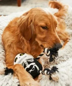 Frisco Halloween Skeleton Plush with Rope Squeaky Dog Toy 10 Frisco Halloween Skeleton Plush with Rope Squeaky Dog Toy -Dog Cat Corner 161358 PT6. SY630 V1597599370