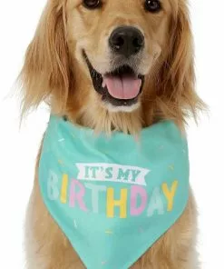 Frisco Dog & Cat Birthday Bandana -Dog Cat Corner 162803 PT2. SY630 V1633086083