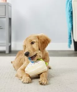 Frisco Plush Birthday Cake Slice with Squeaker Dog Toy -Dog Cat Corner 162906 PT2. SY630 V1565379438