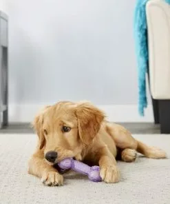 Frisco Birthday TPR Bone Dog Toy, Purple -Dog Cat Corner 162911 PT2. SY630 V1566499027