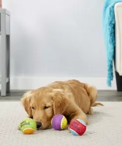 Frisco Fetch Squeaking Birthday Tennis Ball Dog Toy, 3-Pack -Dog Cat Corner 162914 PT2. SY630 V1565379548