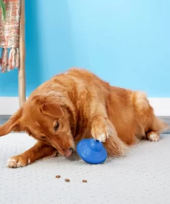 Frisco Rubber Flying Saucer Treat Dispenser Dog Toy -Dog Cat Corner 164757 PT4. SY630 V1604676731