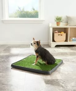 Frisco Indoor Grass Potty 7 Frisco Indoor Grass Potty -Dog Cat Corner 166343 PT2. SY630 V1657656049
