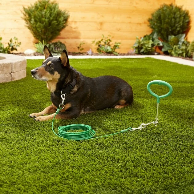 Frisco Easy Grip Stake with Tie Out Cable, Large 4 Frisco Easy Grip Stake with Tie Out Cable, Large - Image 2