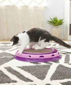 Frisco Scratch & Roll Scratcher Cat Toy with Catnip -Dog Cat Corner 166516 PT3. SY630 V1573664911