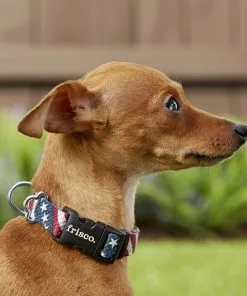 Frisco American Flag Polyester Dog Collar -Dog Cat Corner 172487 PT2. SY630 V1629152228