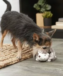 Frisco Plush Squeaking Hedgehog Dog Toy -Dog Cat Corner 174677 PT2. SY630 V1574271550