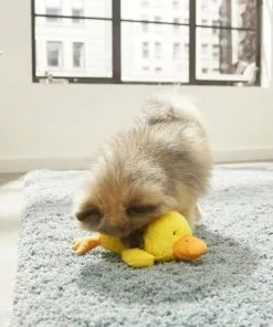 Frisco Plush Squeaky Duck Dog Toy 7 Frisco Plush Squeaky Duck Dog Toy -Dog Cat Corner 174684 PT2. SY630 V1573492408