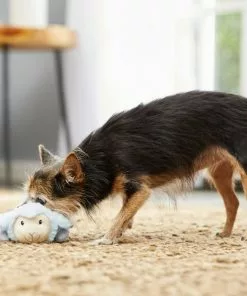 Frisco Plush Squeaking Lamb Dog Toy -Dog Cat Corner 174686 PT2. SY630 V1573597393