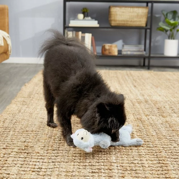 Frisco Skinny Plush Squeaking Lamb Dog Toy 5 Frisco Skinny Plush Squeaking Lamb Dog Toy - Image 3