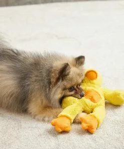 Frisco Plush with Inside Rope Squeaking Duck Dog Toy -Dog Cat Corner 174723 PT2. SY630 V1573492709