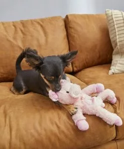 Frisco Plush with Inside Rope Squeaking Pig Dog Toy -Dog Cat Corner 174725 PT2. SY630 V1573492728