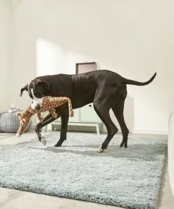 Frisco Wagazoo Plush Squeaking Giraffe Dog Toy -Dog Cat Corner 174745 PT2. SY630 V1573492749