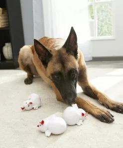 Frisco Hide & Seek Chicken Dog Toy Refills, 3-pack -Dog Cat Corner 174764 PT2. SY630 V1574271542