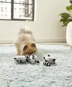 Frisco Hide & Seek Raccoon Dog Toy Refills, 3-pack -Dog Cat Corner 174766 PT2. SY630 V1573492789