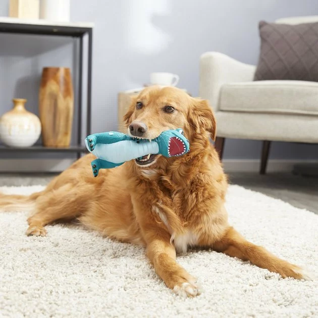 Frisco Latex Squeaky Dinosaur Dog Toy 5 Frisco Latex Squeaky Dinosaur Dog Toy - Image 3