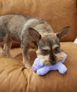 Frisco Plush Squeaking Hippo Dog Toy -Dog Cat Corner 175407 PT2. SY630 V1573492808