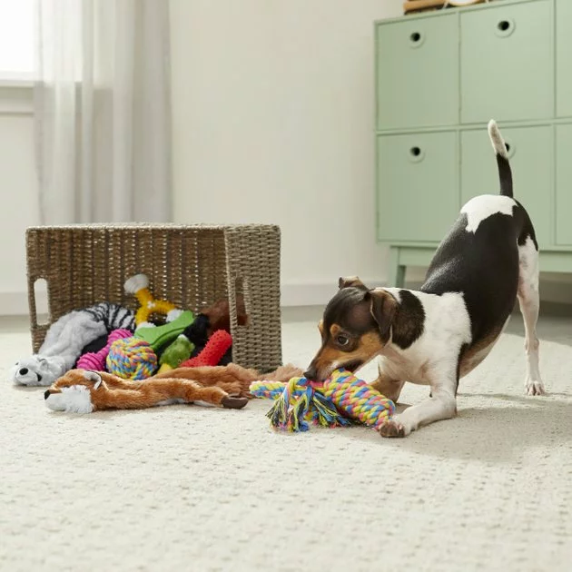 Frisco Rope, Plush, & TPR Bundle Dog Toy, 10-Pack 4 Frisco Rope, Plush, & TPR Bundle Dog Toy, 10-Pack - Image 2