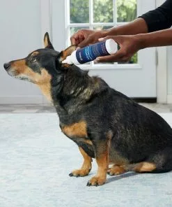 Frisco Advanced Dog, Cat & Horse Ear Cleanser, 8-oz bottle 10 Frisco Advanced Dog, Cat & Horse Ear Cleanser, 8-oz bottle -Dog Cat Corner 178703 PT3. SY630 V1581460105