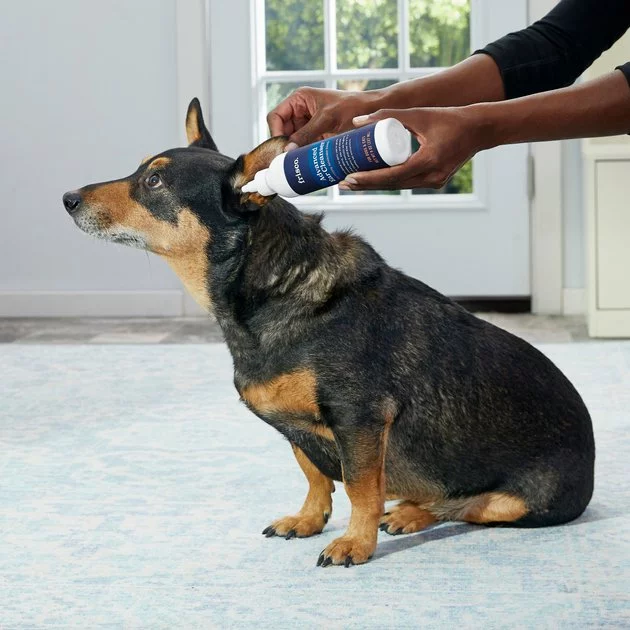 Frisco Advanced Dog, Cat & Horse Ear Cleanser, 8-oz bottle 6 Frisco Advanced Dog, Cat & Horse Ear Cleanser, 8-oz bottle - Image 4