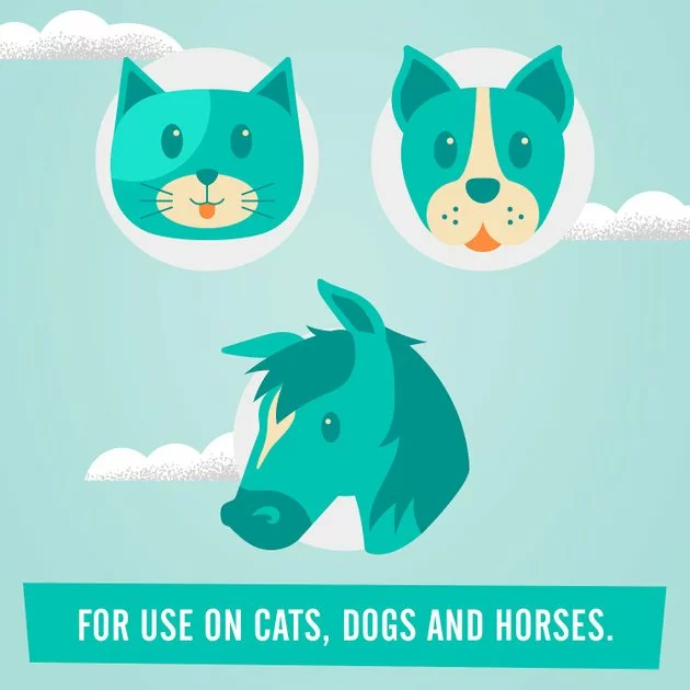 Frisco Advanced Dog, Cat & Horse Ear Cleanser, 8-oz bottle 7 Frisco Advanced Dog, Cat & Horse Ear Cleanser, 8-oz bottle - Image 5