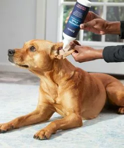 Frisco Antiseptic Dog, Cat & Horse Ear Flush Rinse -Dog Cat Corner 178705 PT3. SY630 V1582124328