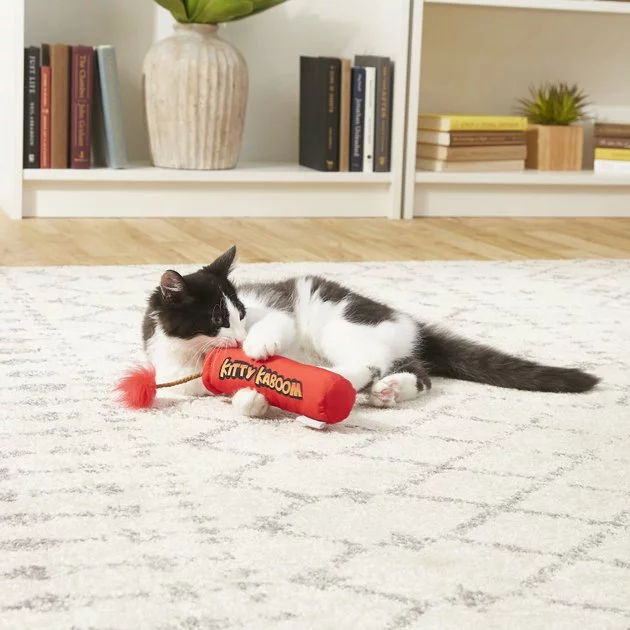 Frisco Crinkle Kitty Kaboom Kicker Cat Toy with Catnip 5 Frisco Crinkle Kitty Kaboom Kicker Cat Toy with Catnip - Image 3