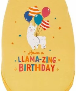 Frisco Llama-zing Birthday Dog & Cat T-Shirt 9 Frisco Llama-zing Birthday Dog & Cat T-Shirt -Dog Cat Corner 191240 PT2. SY630 V1582053523