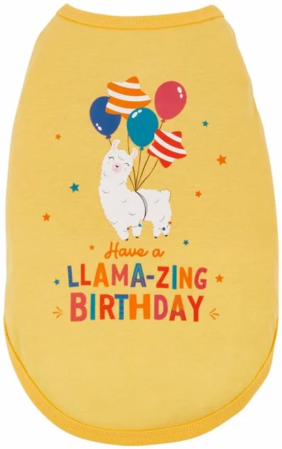 Frisco Llama-zing Birthday Dog & Cat T-Shirt 5 Frisco Llama-zing Birthday Dog & Cat T-Shirt - Image 3