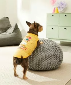 Frisco Llama-zing Birthday Dog & Cat T-Shirt 11 Frisco Llama-zing Birthday Dog & Cat T-Shirt -Dog Cat Corner 191240 PT4. SY630 V1582053521