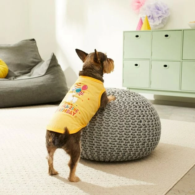 Frisco Llama-zing Birthday Dog & Cat T-Shirt 7 Frisco Llama-zing Birthday Dog & Cat T-Shirt - Image 5