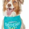 Frisco Happy Gotcha Day Dog & Cat Bandana 1 Frisco Happy Gotcha Day Dog & Cat Bandana -Dog Cat Corner 191247 MAIN. SY630 V1633084319