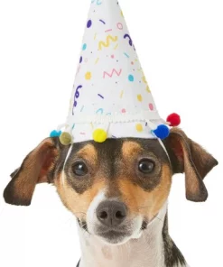 Frisco Confetti Dog & Cat Birthday Hat